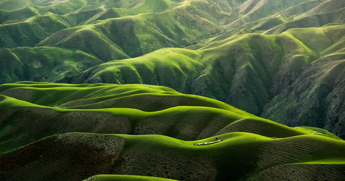 A peaceful green garden memorial — representing eco-friendly pet cremation services in Houston, TX