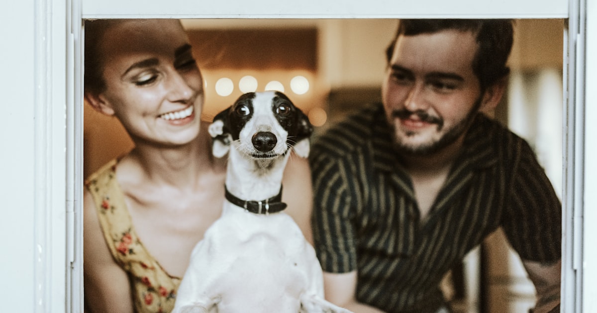 A dog and owner sharing a quiet, loving moment outdoors